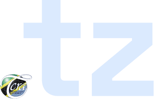 tz logo